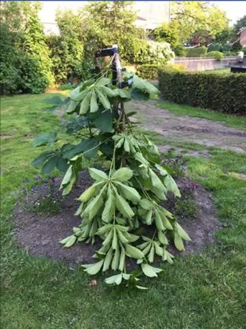 33189414 2006763439641499 2910464912889217024 n