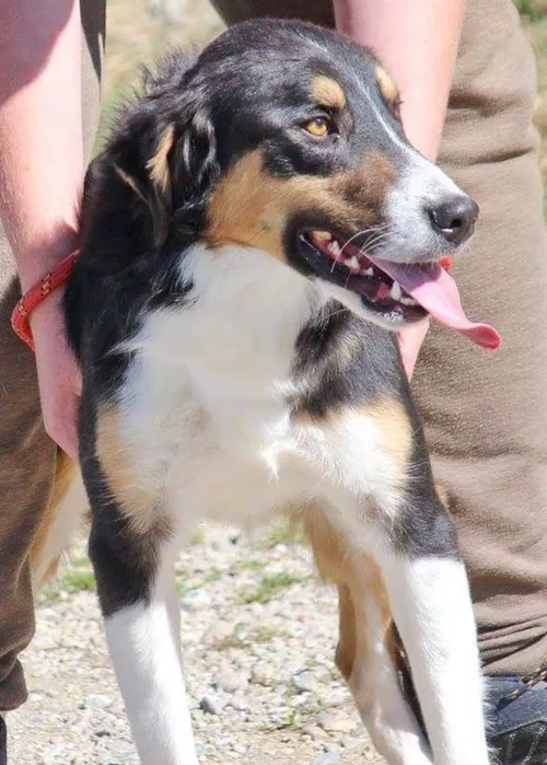 50236797 2323844034301148 2593765161332375552 n