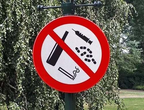 69028327 430778277524781 1687593161423060992 n