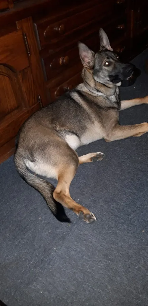 7708e8e9 24fd 445a a7b1 d9424d53357fa