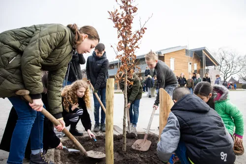 8868 20210325 waalwijk jvi0004 4500x3001