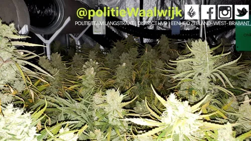 98097123 608465553089385 4054286592976617472 o