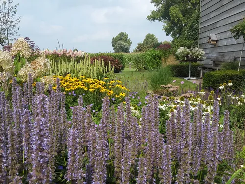 boomkwekerij struijk