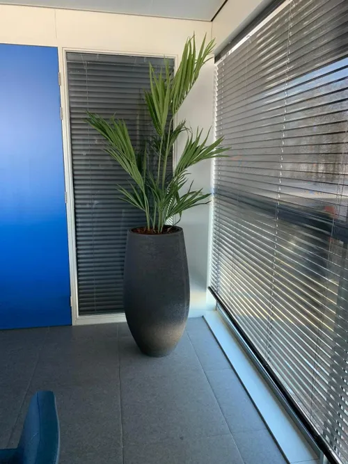 kunstbeplanting sv capelle 2