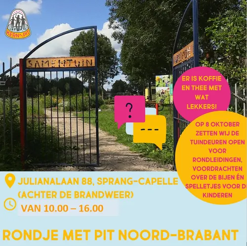 rondje pit als afbeelding