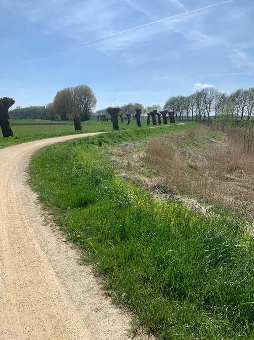 sfeerimpressie gravel ride drunen 2022 staand