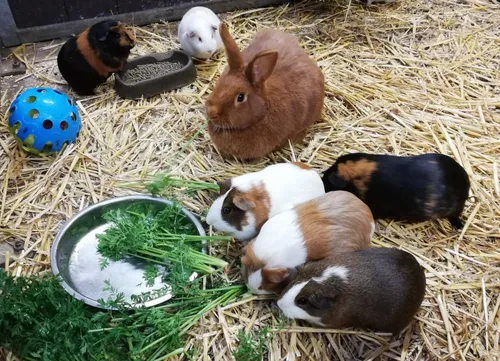 540497668_1269036538357068_4491662866053280851_n