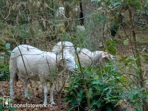 PXL_20250822_070808984