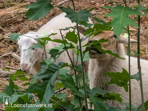 PXL_20250822_071005049