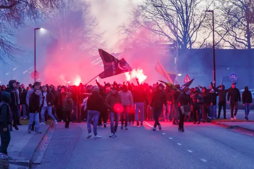 55159792532_815d84354a_k