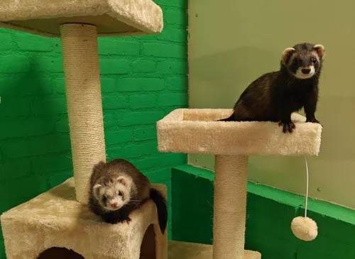 674907510_1463362655591121_2284579376935685930_n