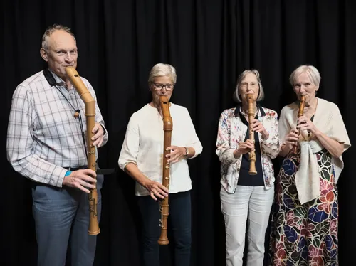 Het Pieck-ensemble