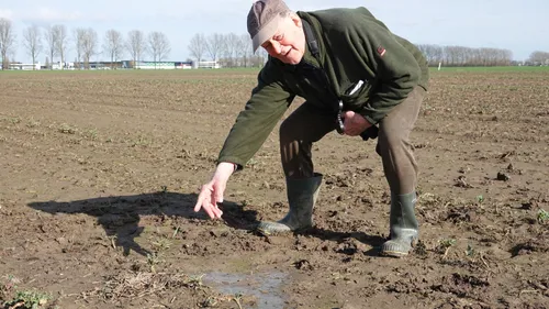 eerste kievitsei 2024 2 landschappennl