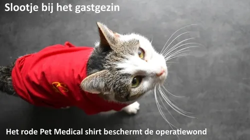 normal c88c1c31b8967ff0f9316dc62c69ce9b98e4f891