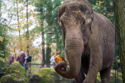 Foto's: Mira Meijer. Burgers' Zoo<br>