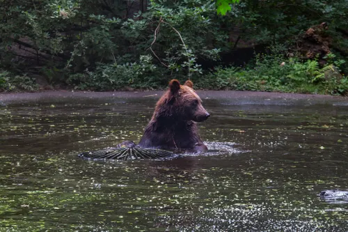 Taras eerste keer buiten.