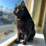 Frank-34430-nieuwste-1-150x150