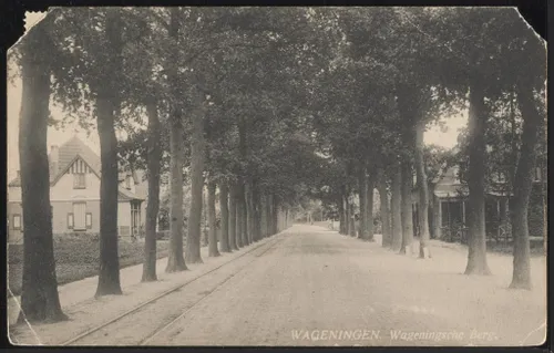 De Generaal Foulkesweg in 1915 (heette toen nog de Rijksstraatweg). Rechts op de foto is tussen de bomen Hotel-Pension Rozenhage zichtbaar. De historische foto laat zien hoe lang deze laan al een belangrijke en beeldbepalende plek in Wageningen is. Daarom is het belangrijk om de bomen ook voor de toekomst te behouden.