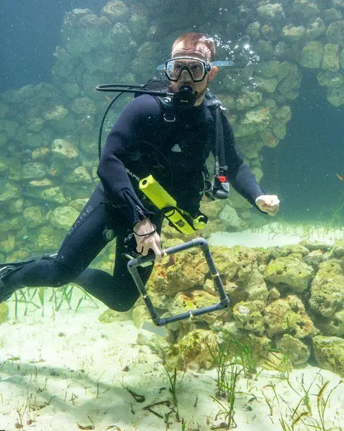 Wetenschappelijk onderzoek met quadranten op de bodem van het zeegrasbassin.Mira Meijer.Burgers' Zoo