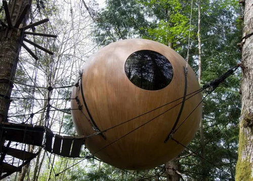 1384954592jpgcroppromo large2