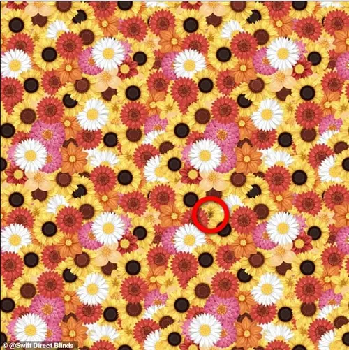 16198216 7259977 give up puzzlers will find the answer circled in red just undern a 11 1563450653790