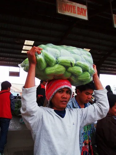 199414525 c7cc20c2d3