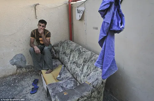 23b24dac00000578 2859734 image m 74 1417640830340