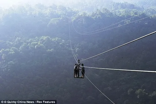 23effb3d00000578 0 image a 24 1418214182892