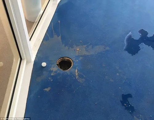 34b0bea700000578 3612880 image m 13 1464360636688