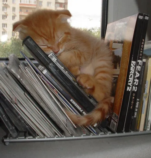 3856d66400000578 3788951 image m 61 1473852970039