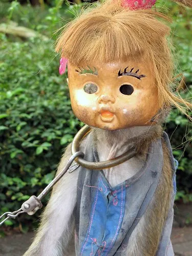 3961383416 4ec17a1a2d