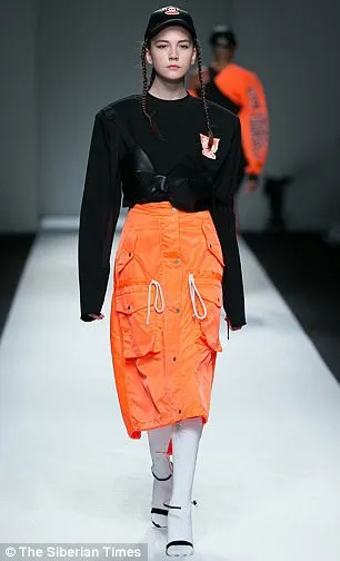 45bfa41d00000578 5025325 image m 6 1509132003629