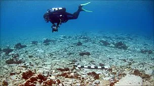 55868731 domesticdwelling1 304