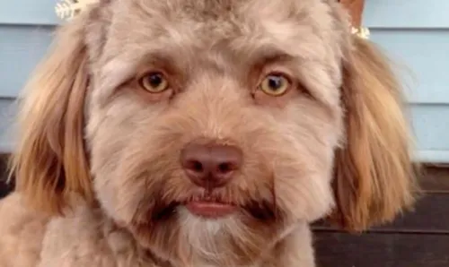 5aa847641f00002c0016a417