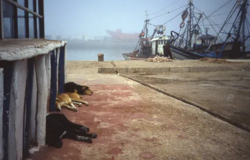 5ac791231e00008e0b7b0c8f