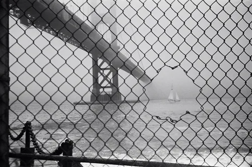 7427707514 f89d88186a c