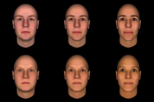 832eabaa97eb8d618c53ed7551dd474a0dda62c8 800x533