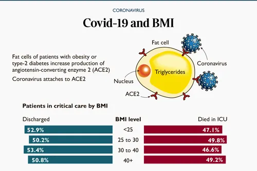 a811ae12390afb09a1561d08e462a304