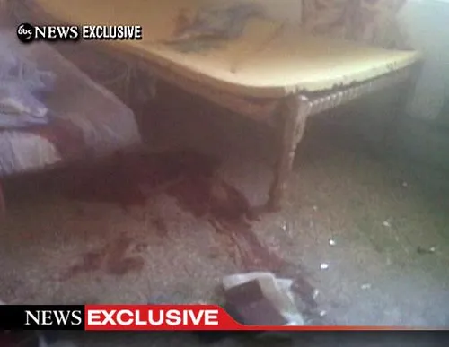 abc osama bin laden exclusive interiors 3 dm 110502 ssh