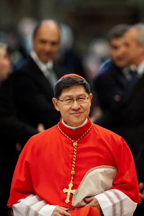 anp 20683355 584x878