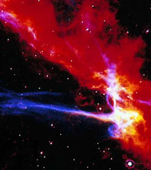 anp 302649144 584x657