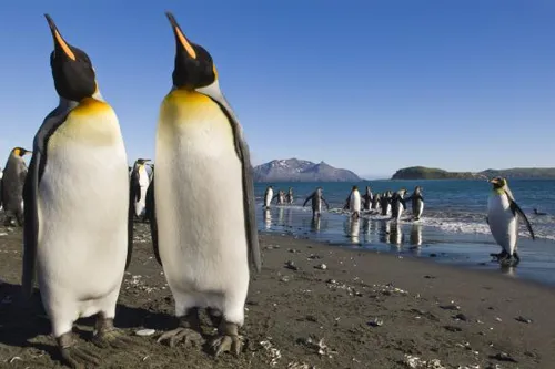 anp 324706043 584x389