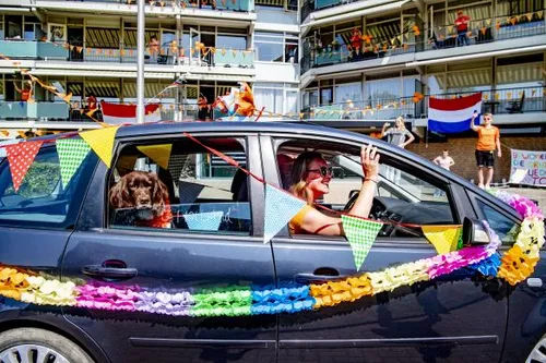 anp 409890019 584x389