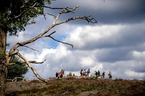 anp 421769124 584x389