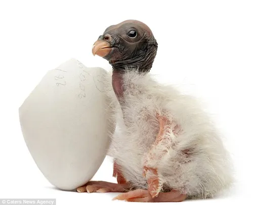 article 2011569 0cdefca100000578 613 638x518