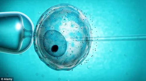 article 2350418 12ef0b0f000005dc 415 634x351