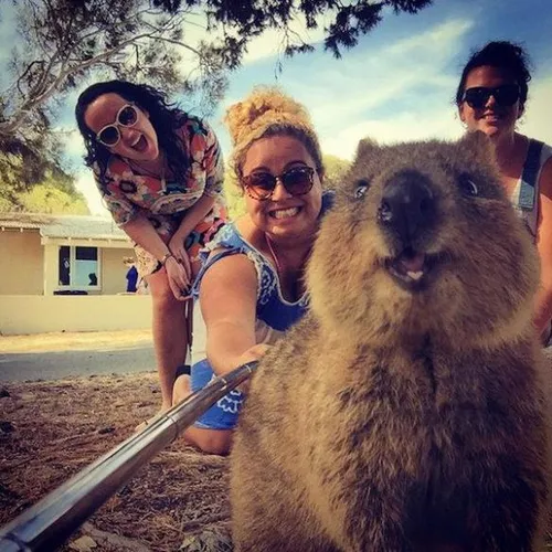 b 2ykb9uaaa g5q 584x584