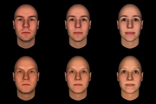 cc817dd013c0ae075e9672cc17a339f2dbf9b807 800x533