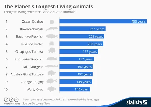 chartoftheday 3328 the planets longest living animals n