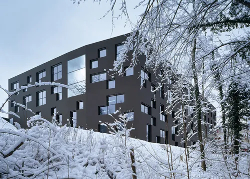 dezeen esge ecole secondaire de genolier by ipas ss 8